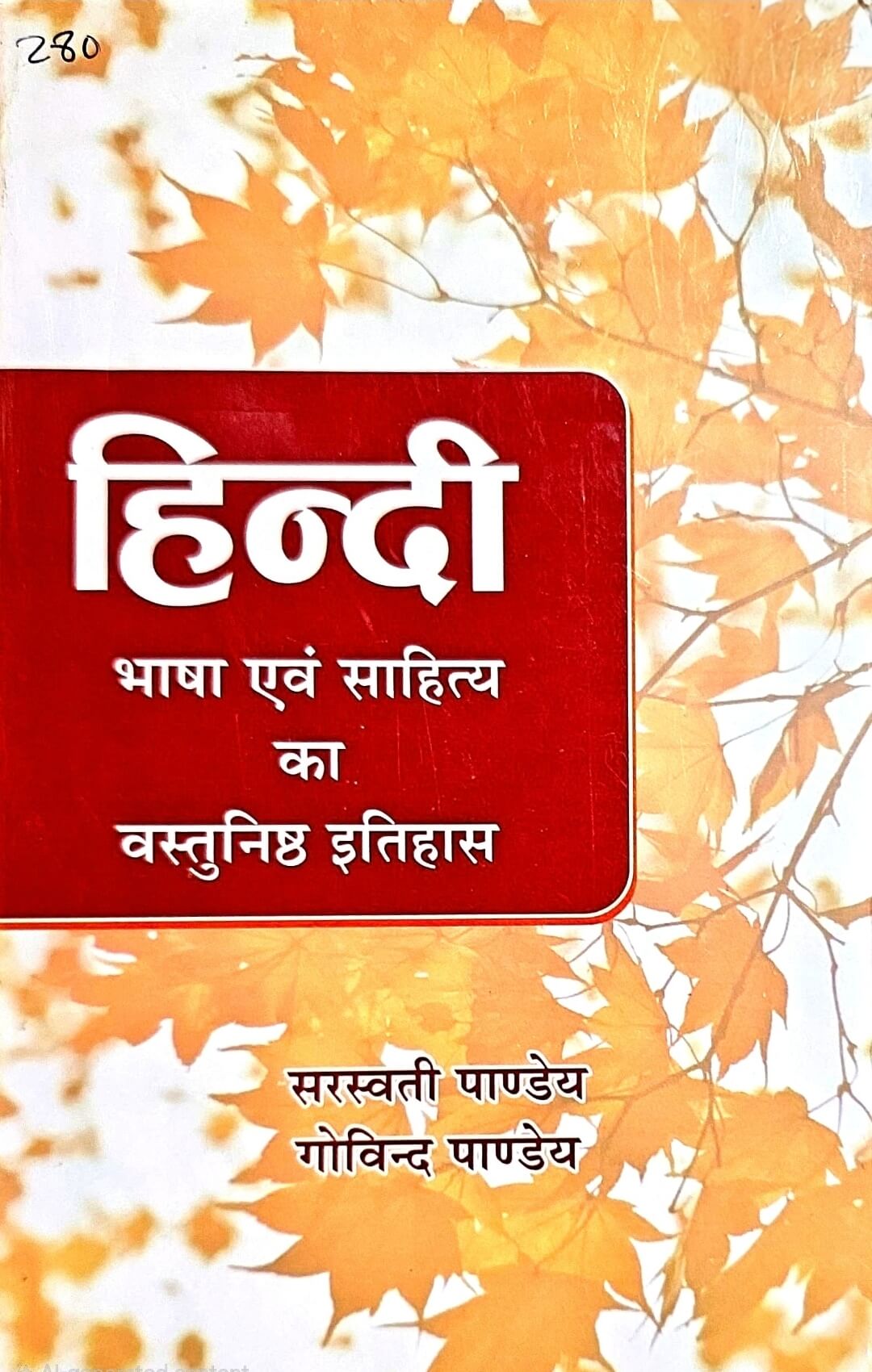 Saraswati Pandey – Hindi Bhasha & Sahitya Ka Vastunishth Itihas